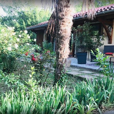 Le Gite De Gascogne Lectoure Zewnętrze zdjęcie