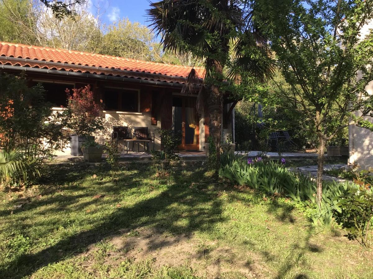 Le Gite De Gascogne Lectoure Zewnętrze zdjęcie