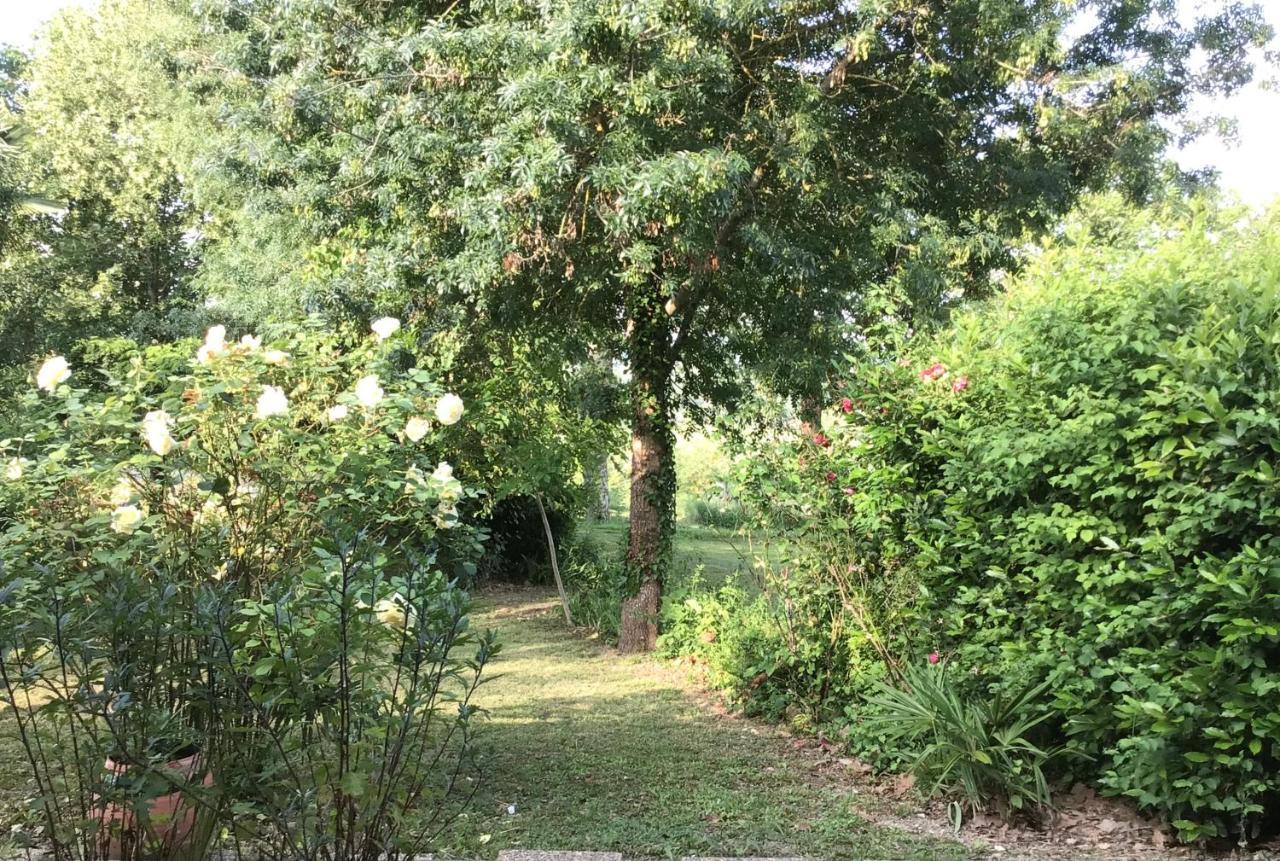 Le Gite De Gascogne Lectoure Zewnętrze zdjęcie